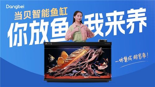 當(dāng)貝智能魚(yú)缸創(chuàng)意廣告席卷北上廣深 多地強(qiáng)勢(shì)上線(xiàn)