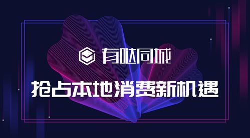 同城本地分類信息發布系統盈利模式 有調小程序