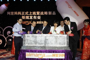 阿里媽媽發(fā)布戰(zhàn)略級網(wǎng)絡(luò)廣告產(chǎn)品 全國聯(lián)播